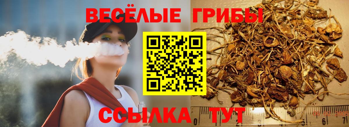 Псилоцибиновые грибы мицелий Мирный